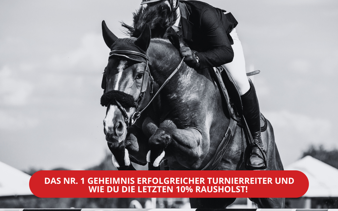 Stressfrei und Erfolgreich auf Turnier – Wie du intuitiv deine Bestleistung im Parcours oder Viereck abrufst