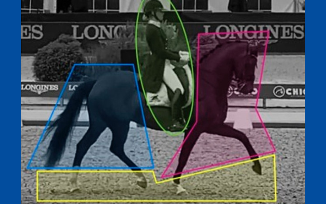 Wie genau nehmen Dressur Richter die Leistung von Reiter und Pferd wahr? Innovative Eye-Tracking-Studie liefert wichtige Einblicke in die Dressurbeurteilung!